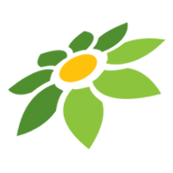 ANIME PICO